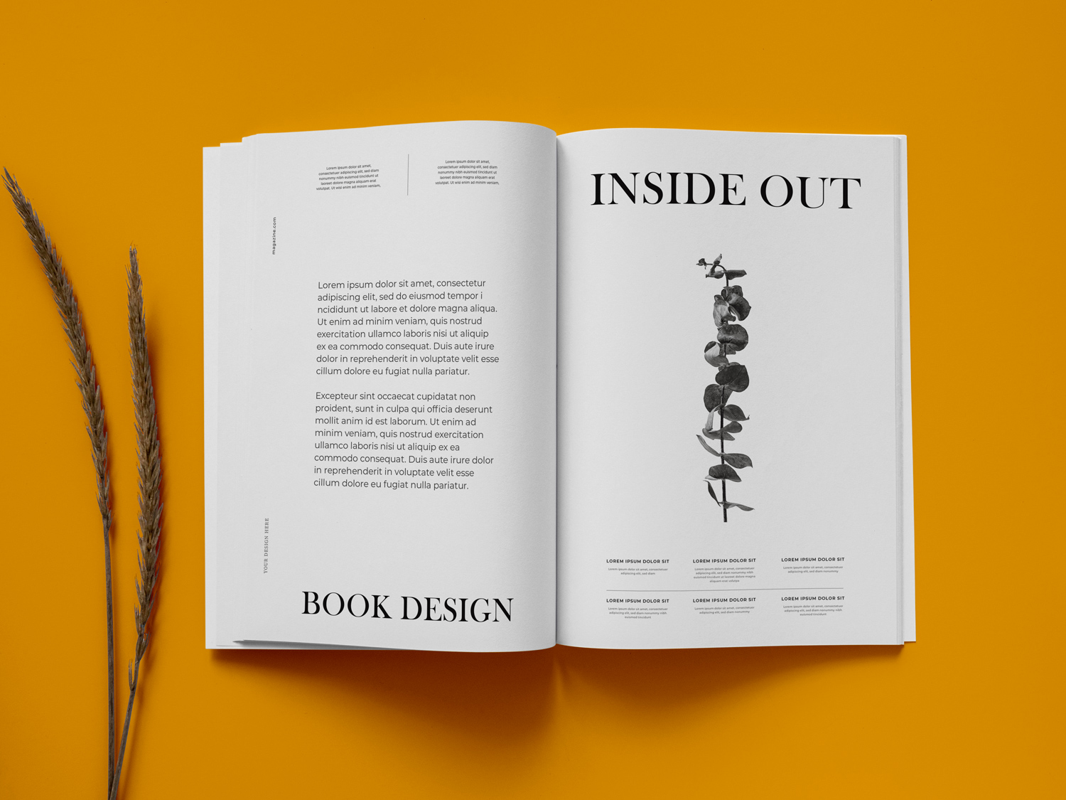 Book Design Inside & Out
